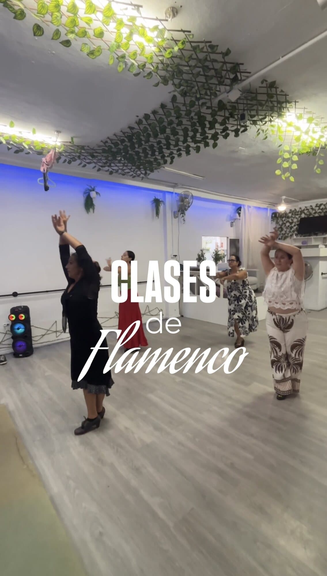 Clase de flamenco en la sala de Mikasa